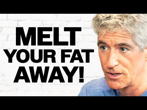Use These SIMPLE STEPS To Lose Belly Fat Fast | Dr. Sean O'Mara