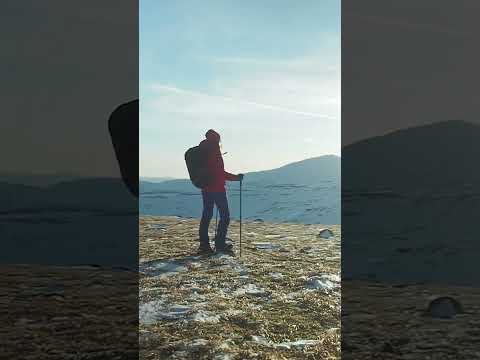 One Wild Fact About Colorado You Will Not Believe