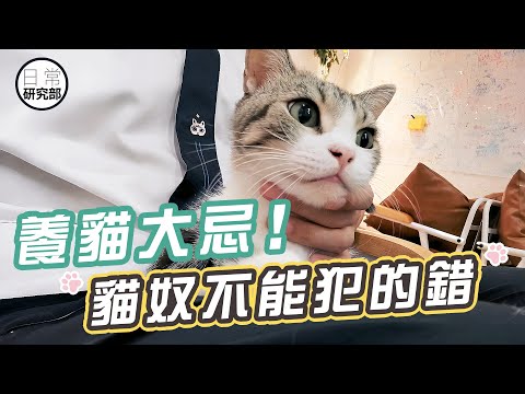 養貓不能犯的天條!|主子其實很脆弱!