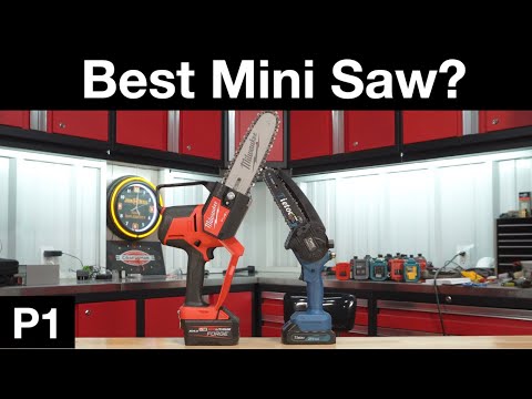 The Best Mini Chainsaw?  For Pruning