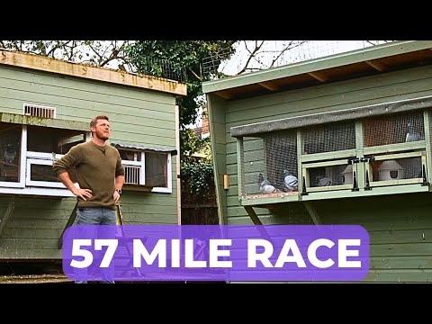 Ep.65 Racing Is Bitter Sweet