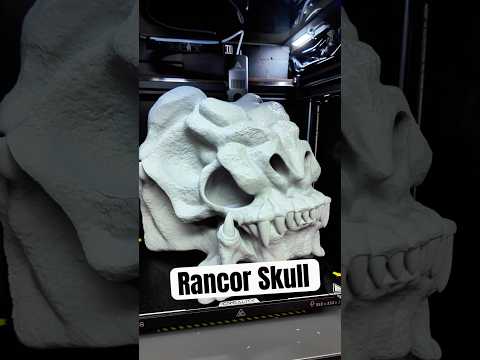 HUGE STAR WARS RANCOR SKULL!
