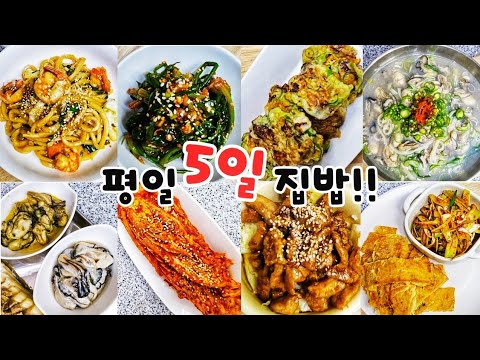평일 5일🖐 집밥!!| 배추 1/2포기 김장해서 굴보쌈,  굴칼국수, 굴전, 항정살덮밥, 새우야채볶음우동, 전참시어묵전, 고추장시금치무침 ~ 