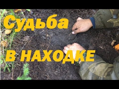 Невероятная удача!!!  Лучший подъём сезона.