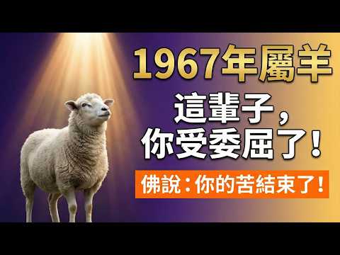 1967年屬羊人，這輩子你受委屈了！佛說：你吃的苦都是在「消業障」，晚年你的福報比誰都大！#屬羊 #1967年屬羊 #屬羊運勢 #生肖羊運勢 #屬羊 #生肖羊 #1967年生肖羊 #丁未羊 #晚年命運