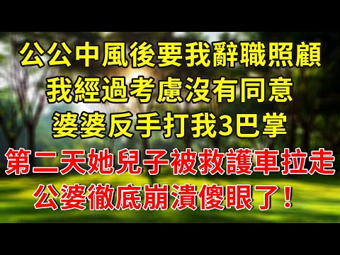 公公中風後要我辭職照顧，我經過考慮沒有同意，婆婆反手打我3巴掌，第二天她兒子被救護車拉走，公婆徹底崩潰傻眼了！#人生感悟 #故事分享 #故事頻道 #正能量 #小說 #情感