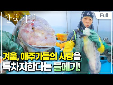 [Full] 한국기행 - 괜찮아 겨울이야 제3부 못생겨도 맛은 좋아