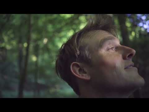 Tree Radicals short course at Dartington