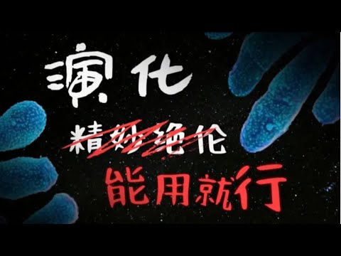 生物的演化能有多凑合？