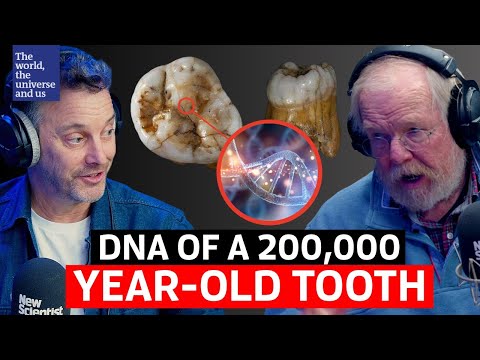 Ancient Human From 200,000 Years Ago Gets His Genome Sequenced