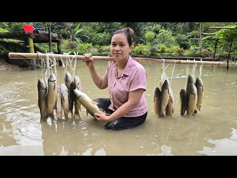 Catching Fish from the Pond and Cooking Delicious Meals | Farm Life with Lý Thị Ca