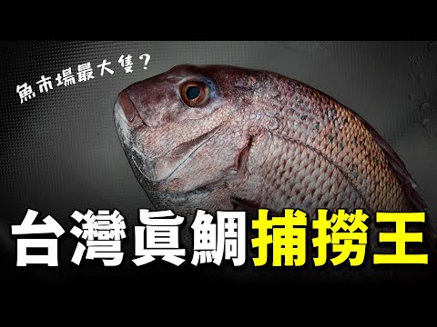 一隻嘉鱲打破崁仔頂漁市場最大隻紀錄！訪問台灣北部最強延繩釣捕撈大師...今天猩弟來聊聊嘉鱲！