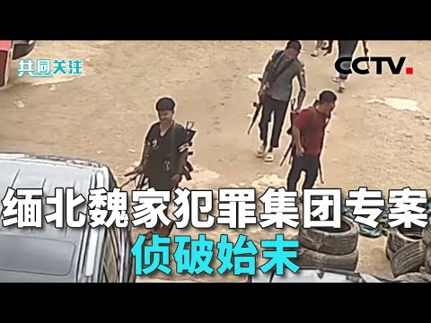 五年建14个电诈园区！缅北魏家亲口揭露：一个盘口狂揽上亿；缅北魏家犯罪集团专案细节曝光 20251015 | CCTV中文《共同关注》
