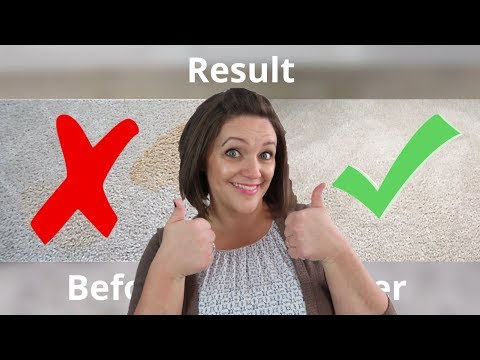 This is how I removed a Carpet Stain with Peroxide!!! | Cleaning Tips | DIY