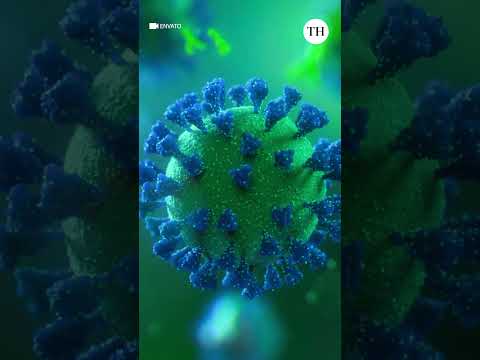 The Nobel Prize 2025 for Medicine awarded to trio for immuno-regulatory T cells discovery