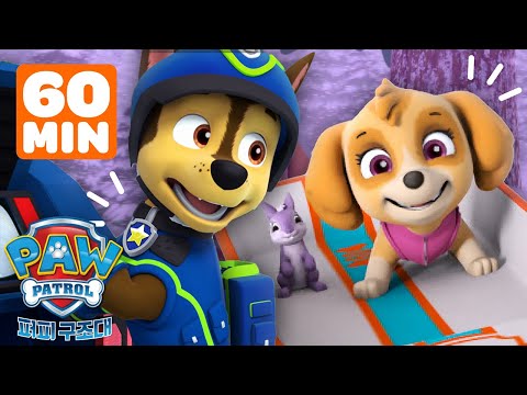 퍼피 구조대의 친구 구조 대작전! | 60분 모음 영상 | 퍼피 구조대