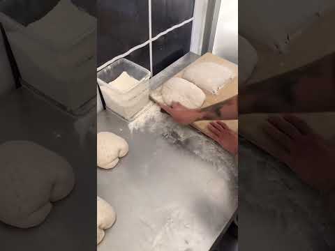 We just came back from one week of producing sourdough in a tent in the forest 🐲🌴 more to come!