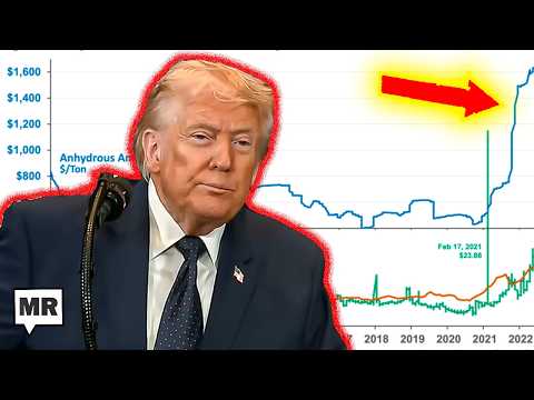 The Economy Is Toast