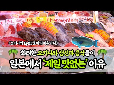 🇯🇵(오키나와)여기 생선과 음식이 ‘맛대가리없는’ 이유😵의외로 일본에서 가장 물가 싼 도시,오키나와 여행기😍