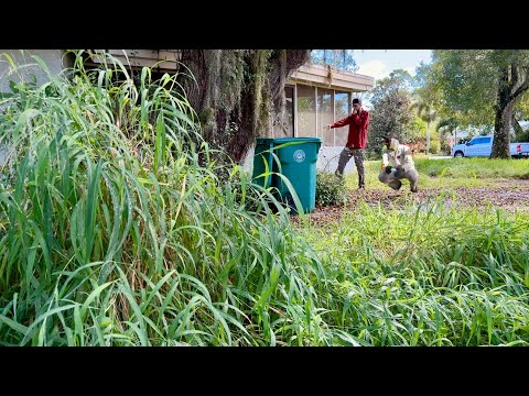 I FOUND Something at This Abandoned House… And It Changed EVERYTHING Today