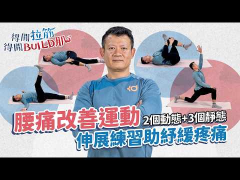腰痛改善運動|2個動態+3個靜態伸展練習助紓緩疼痛|得閒拉筋|得閒Build肌|健康好人生