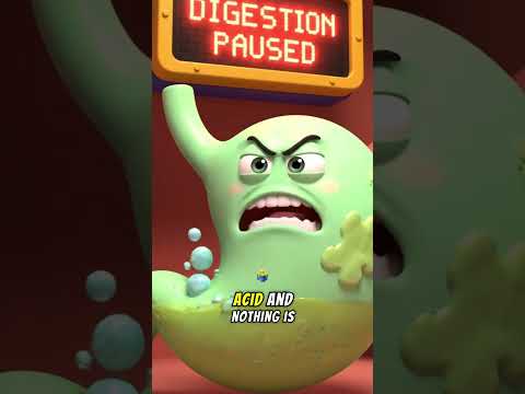 What Happens When You Have Chronic Stress? | The Organ Story