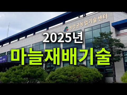 Garlic cultivation technology in 2025