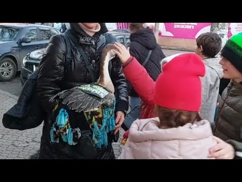 НИКОЛАЕВ/NIKOLAEV2025