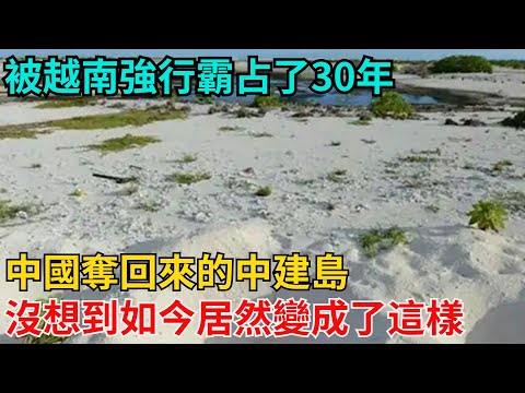 被越南強行霸占了30年，中國奪回來的中建島，沒想到如今居然變成了這樣【近代風雲志】#歷史#傳奇人物#近代奇聞#爆歷史#舊時風雲#近代歷史#近代名人#奇聞