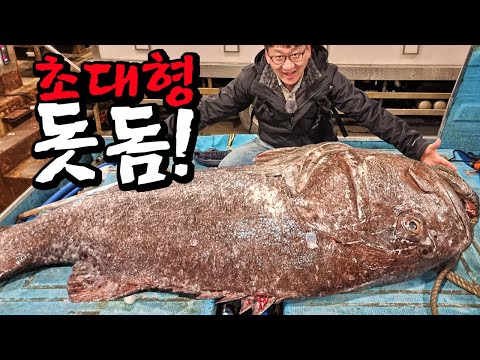 The legendary fish. 5,000,000 won striped jewfish dismantling and mukbang!