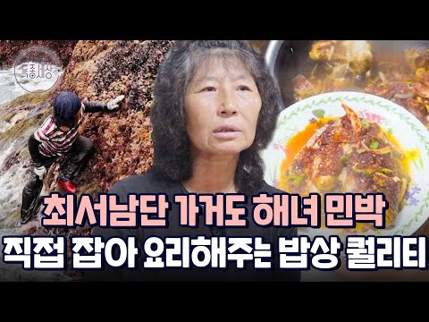 "배 타고 더 들어가야 된다고요?" 최서남단 가거도의 억척 해녀, 민박집 요리 퀄리티가 셰프 급｜다시보는 특종세상 486회