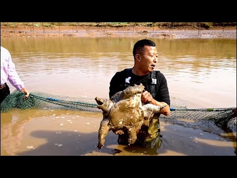 花28000包下粉丝家的钓场，抽干水里面竟然有20斤的甲鱼？#户外 #捕鱼 #三农 #农村生活 #捉鱼 #catchingfish #fishing #outdoor#rurallife
