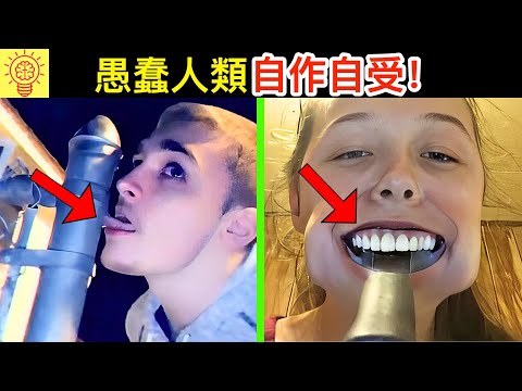 愚蠢人類自以為很帥做蠢事，結果報應來時哭也沒用了...