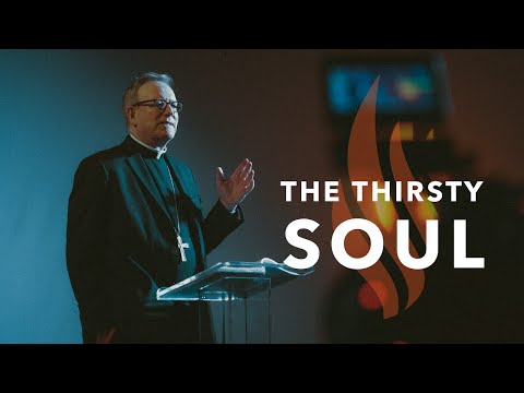 The Thirsty Soul - Bishop Barron's Sunday Sermon