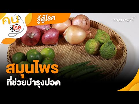 Herbs that help nourish the lungs | Know how to fight disease | People fighting disease