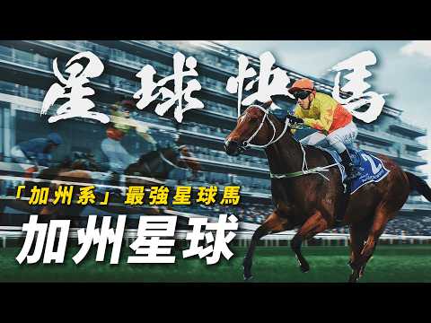 兩代馬王都是蹄下敗將！從新馬賽跑到杜拜都破紀錄的「星球馬」｜加州星球｜打破「浪漫勇士」四歲三冠夢｜力阻「金鎗六十」香港一哩錦標三連霸｜破場地紀錄時間攻下阿喬斯短途錦標｜#賽馬物語