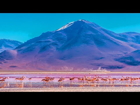 Bolivia's Altiplano: The Earth's Most Extreme Environment