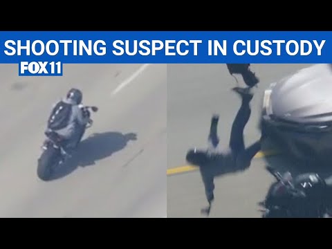Alleged California cop shooter crashes motorcycle mid-police chase | FOX 11 LA
