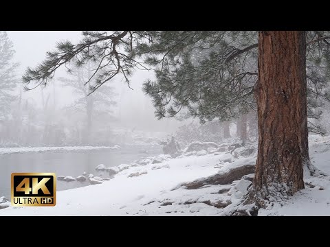 Snowfall over Mountain River | 10h Relaxing Nature Ambience for Calm & Sleep