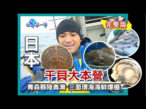 【日本青森】陸奧灣 巨霸干貝大本營（漁港競標鮭魚／縣魚 比目魚）｜《世界第一等》183集小馬完整版