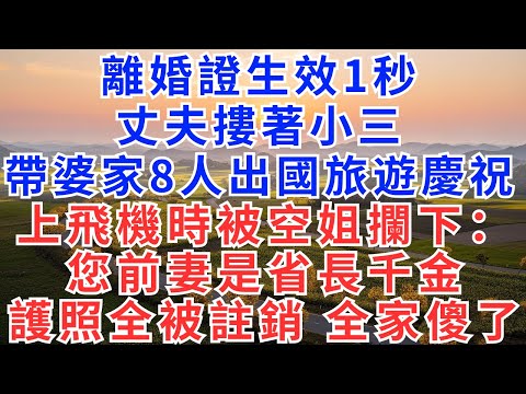 離婚證生效1秒，丈夫摟著小三，帶婆家8人出國旅遊慶祝，上飛機時被空姐攔下：您前妻是省長千金，護照全被註銷，全家傻了！#小說#故事#為人處世#家庭關係#女性成長#故事分享#慧心家事#講故事