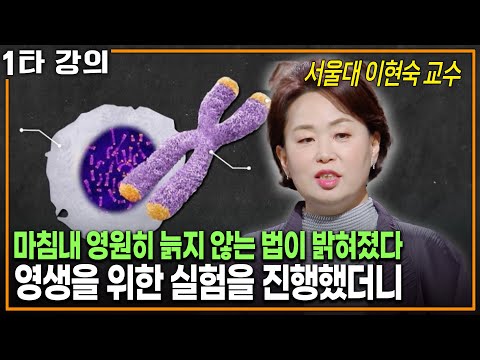 마침내 밝혀진 불로장생의 꿈을 이루는 법, 인간은 영원히 살 수 있는가 | KBS 20201202 방송