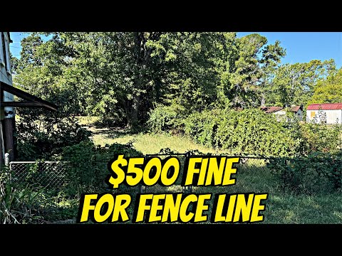 Elderly Woman Faces $500 Fine For Overgrown Fence Line