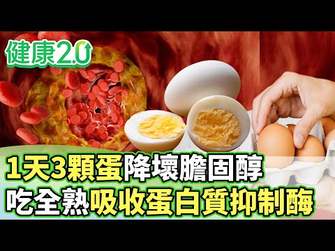 1天3顆蛋降壞膽固醇 吃全熟吸收蛋白質抑制酶【健康2.0分段】@tvbshealth20 EP3096-2 20250927 #鄭凱云#陳皇光#邱正宏#劉怡里#許聖梅#雷議宗