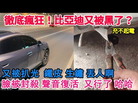 徹底瘋狂！比亞迪又被黑了？質量太差！又被扒光！鐵皮！生鏽！丟人啊！臉被封殺！聲音復活！神奇的車評人！瘋狂的服務費比電價都貴！