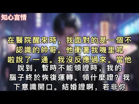 在醫院醒來時，我面對的是一個不認識的帥哥。他衝著我嘰里呱啦說了一通。我沒反應過來。當他說到，暫時不能領證時，我的腦子終於恢復運轉。#小說 #言情 #追妻火葬场 