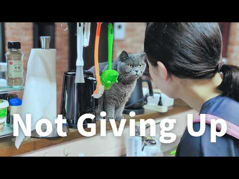 The Reason Why I Quit My Job | Grandpa's Spicy Chicken Curry