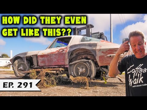 RESCUED: TWO Mid-Year Corvette Coupe's + Updates Are Back!