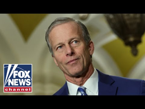 John Thune reveals if he’s found 5 Democrats who could reopen the government