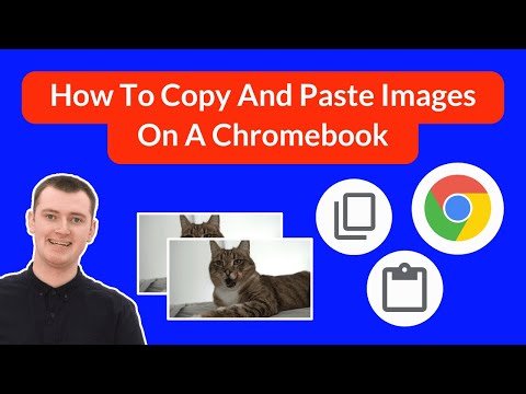 How To Copy And Paste An Image On A Chromebook